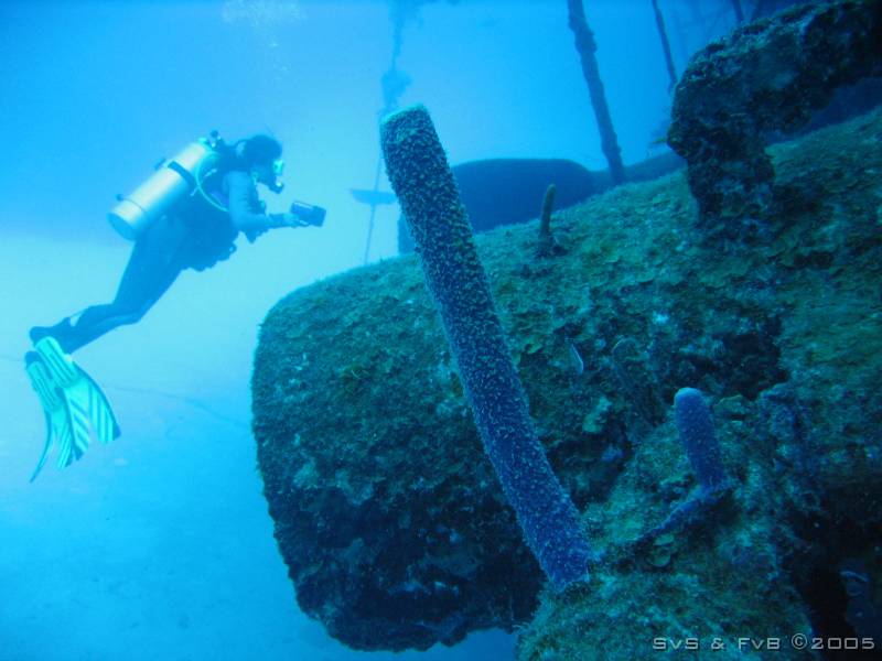 Hilma Hooker 026 