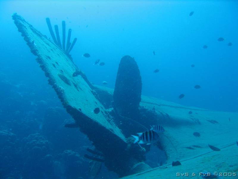 Hilma Hooker 033 