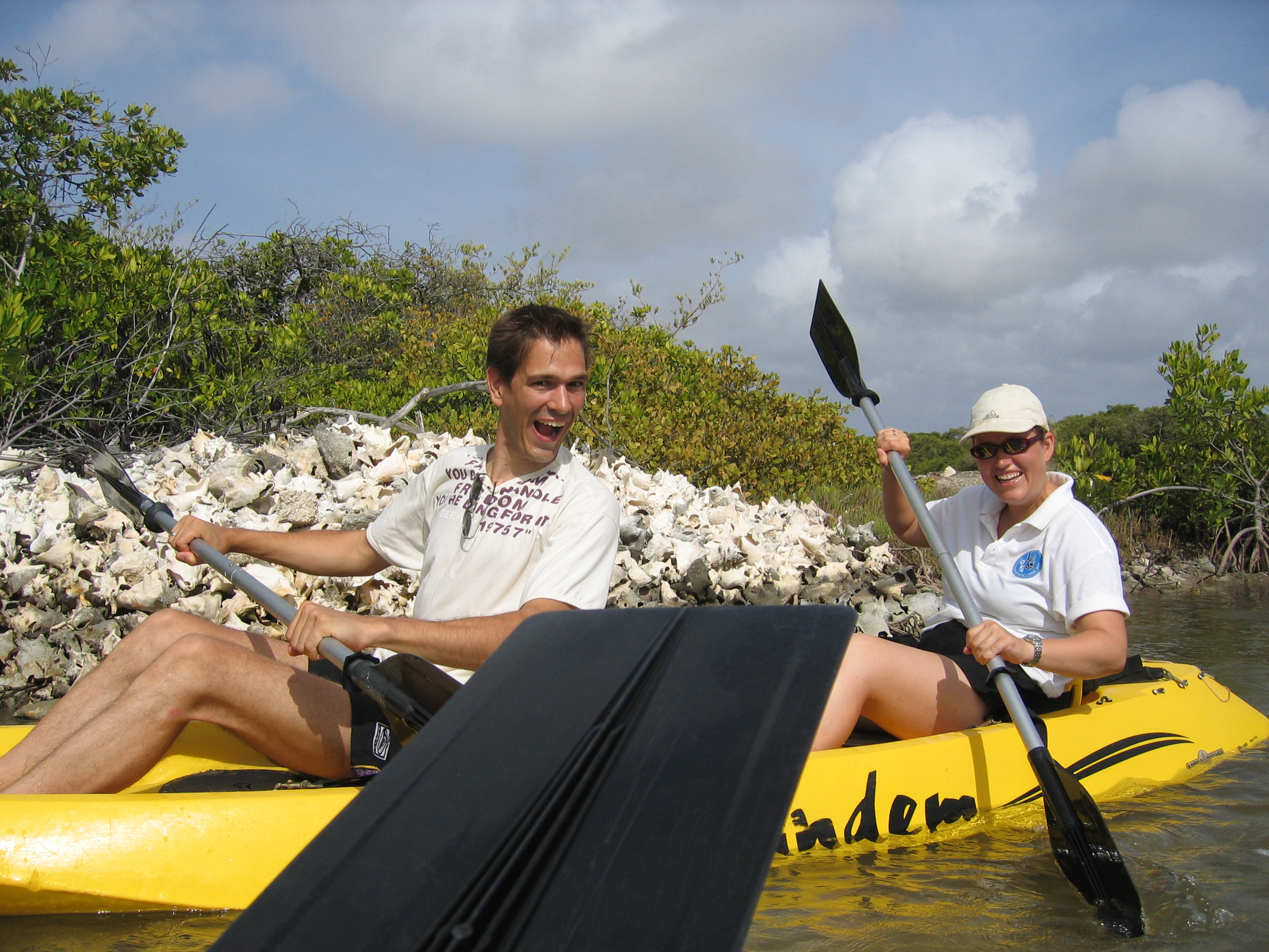 Mangrove tour 040 