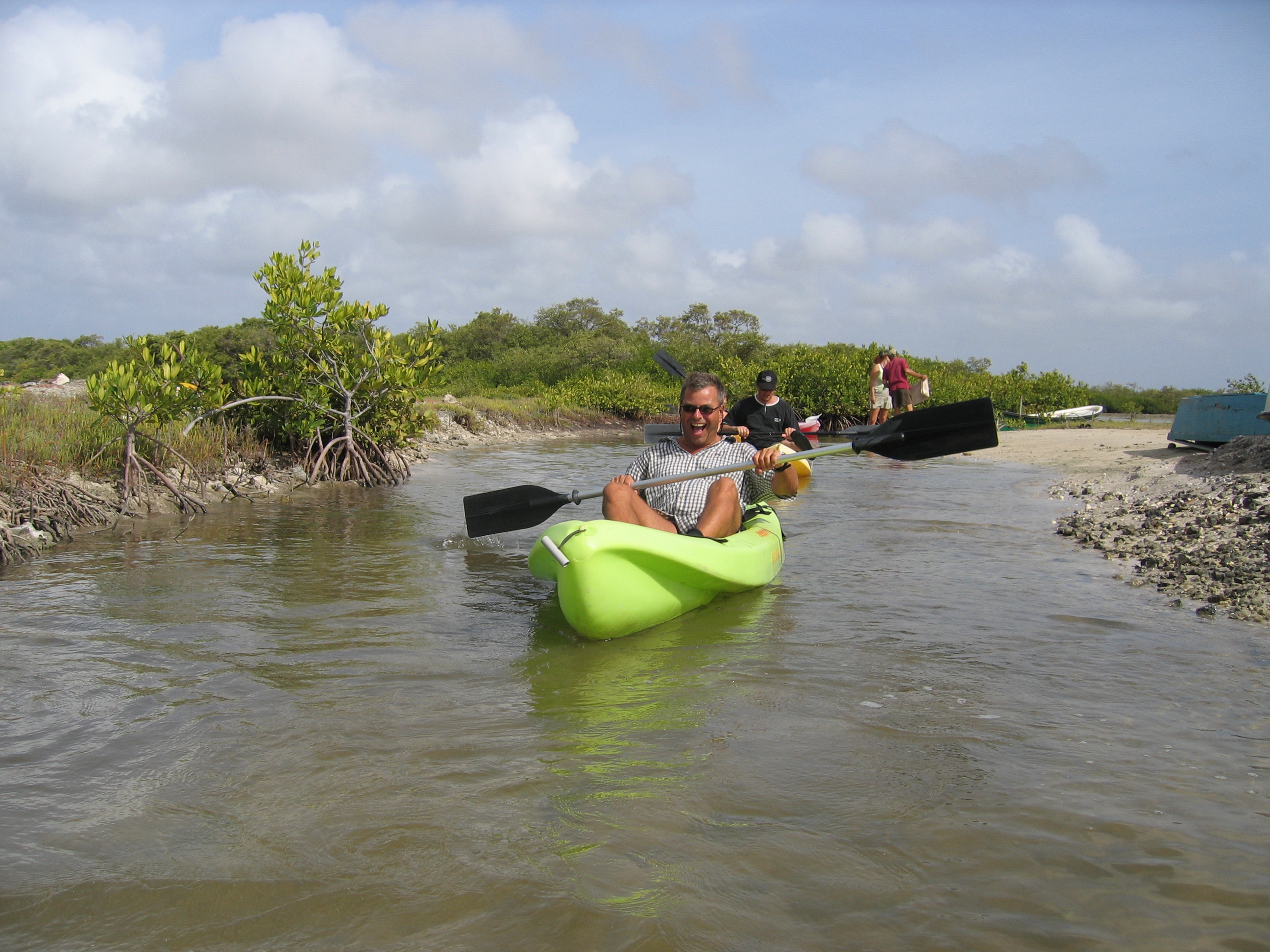 Mangrove tour 043 