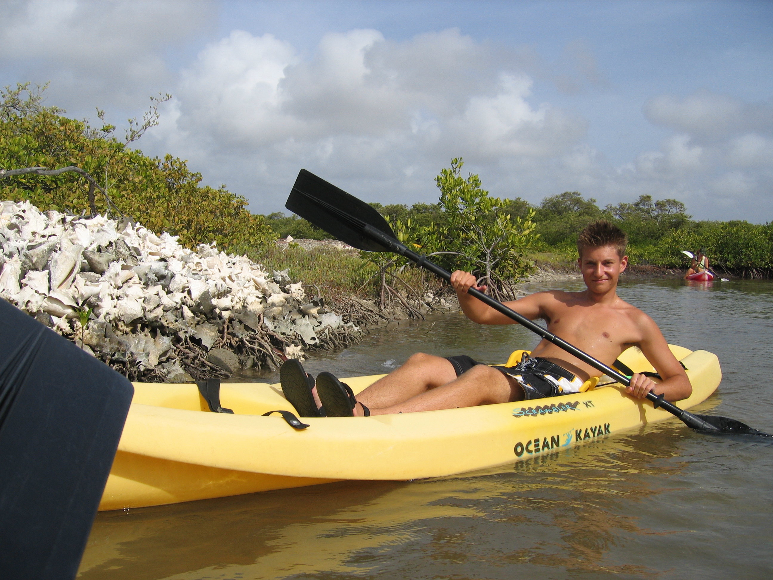 Mangrove tour 047 