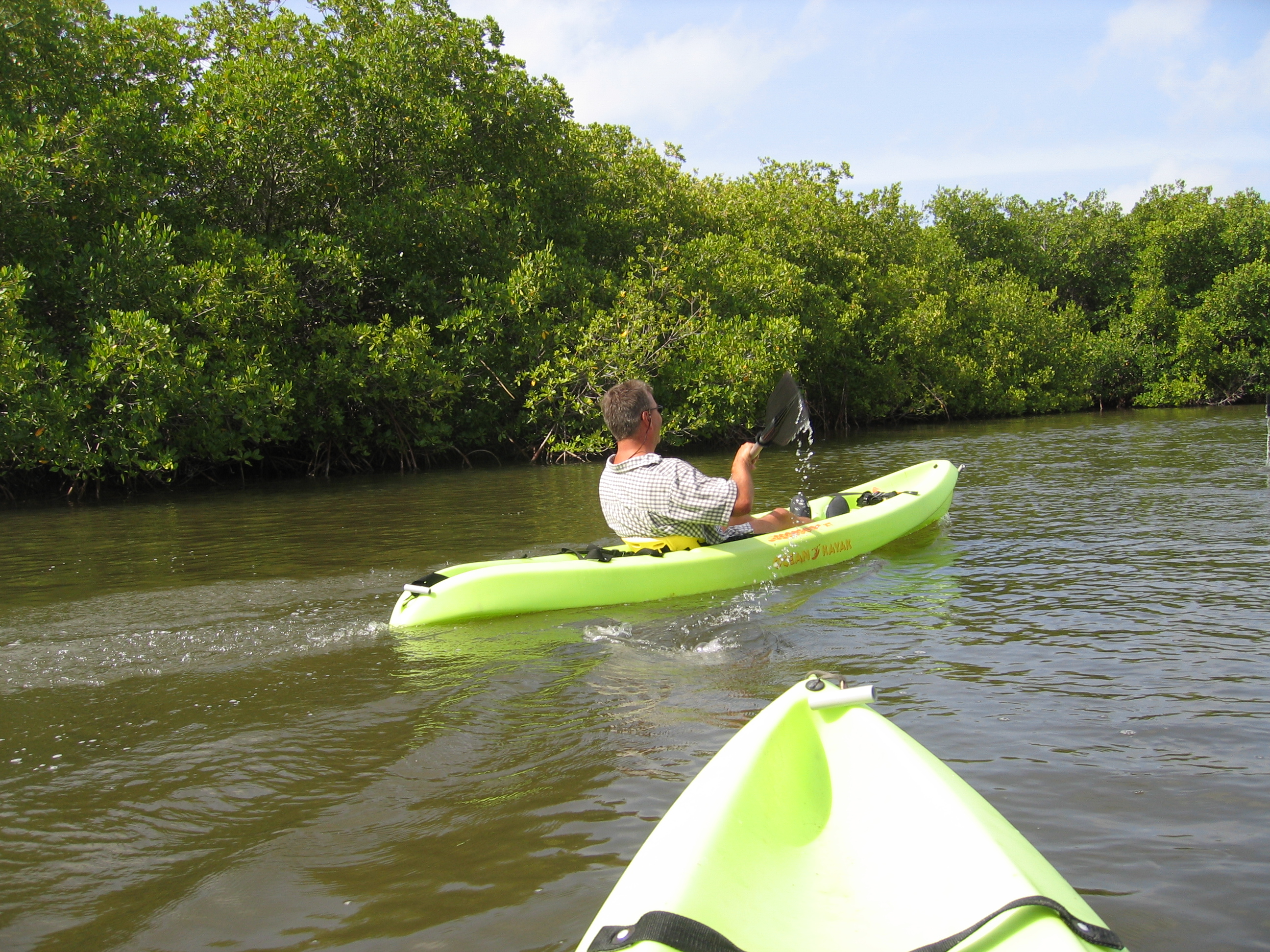 Mangrove tour 052 