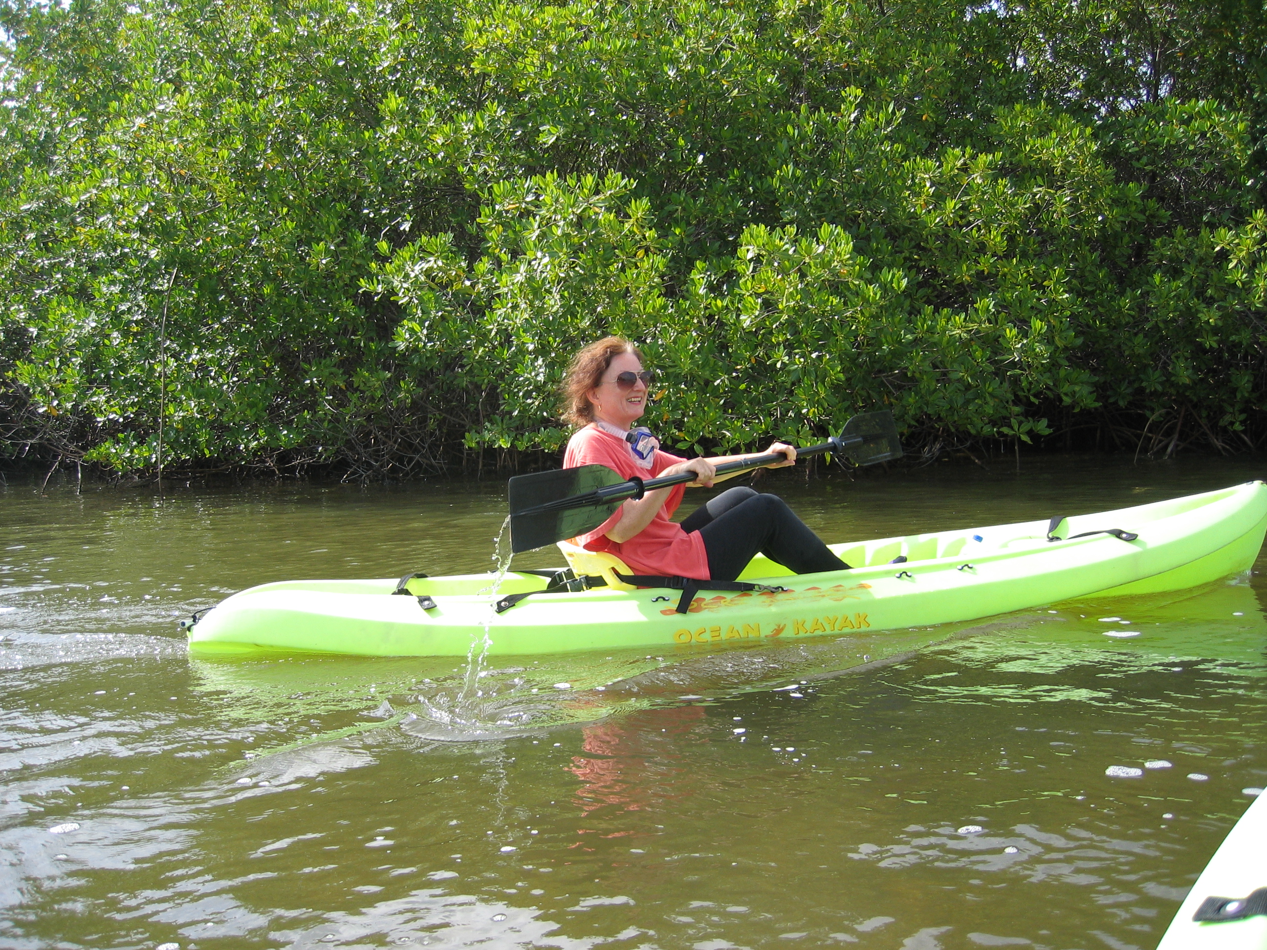 Mangrove tour 055 