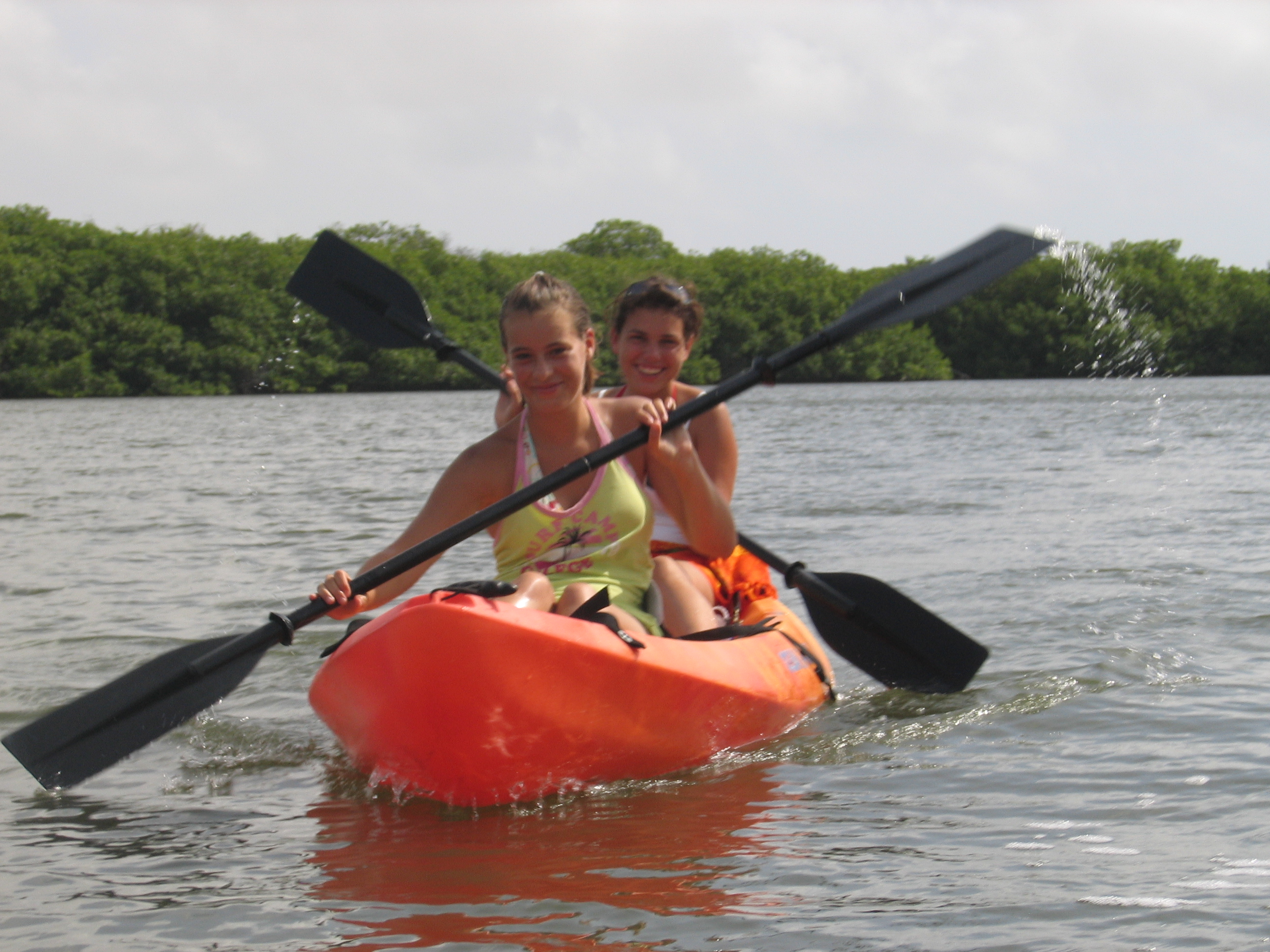 Mangrove tour 056 