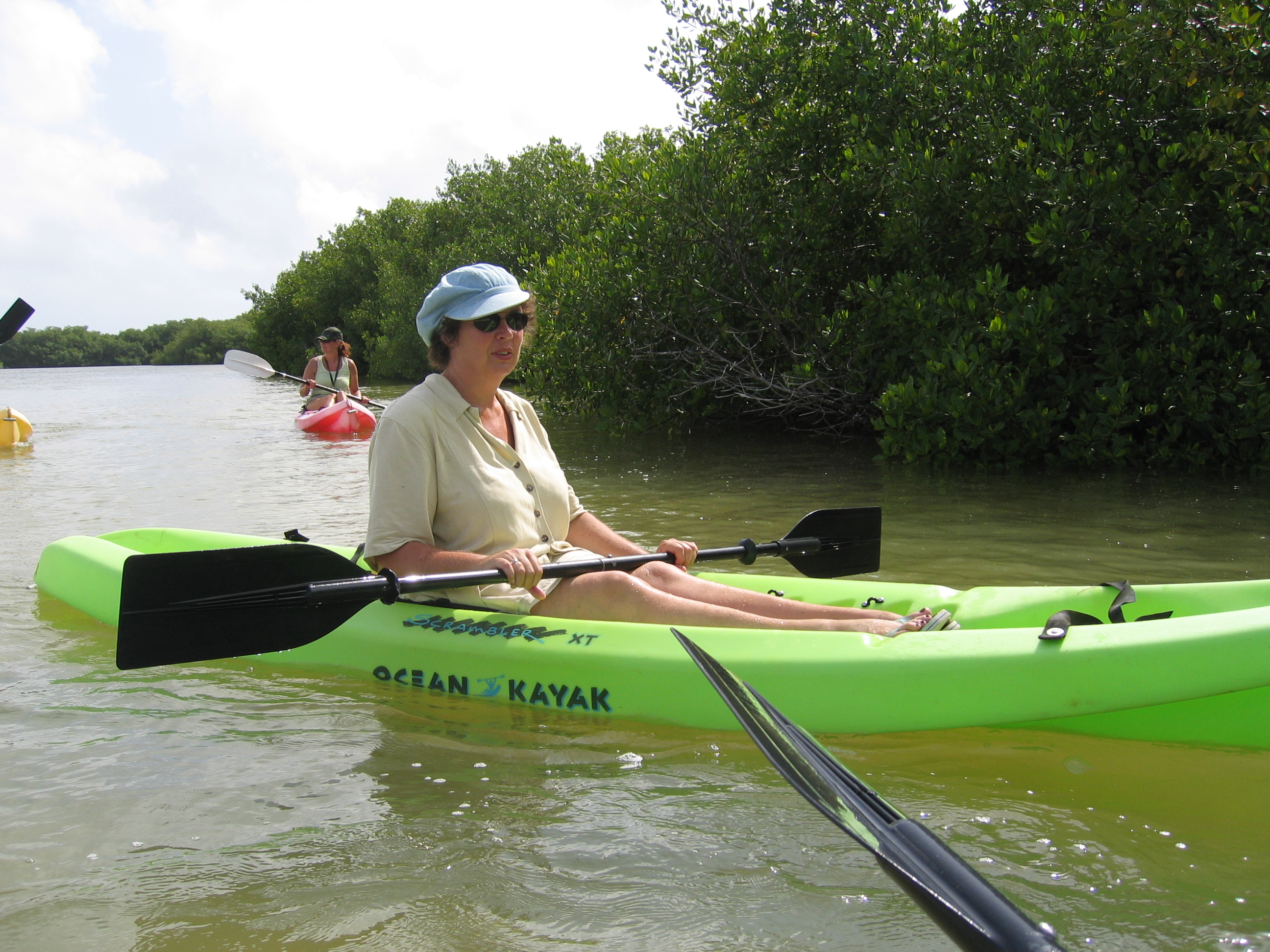 Mangrove tour 058 