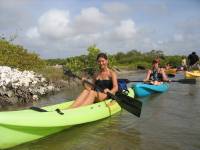 Mangrove tour 041