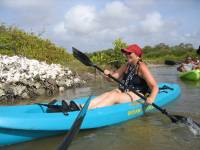 Mangrove tour 042