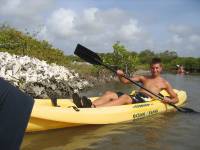 Mangrove tour 047 