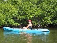 Mangrove tour 051