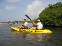 Mangrove tour 054