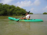 Mangrove tour 057