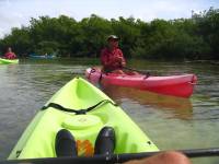 Mangrove tour 063 