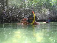 Mangrove tour 082 