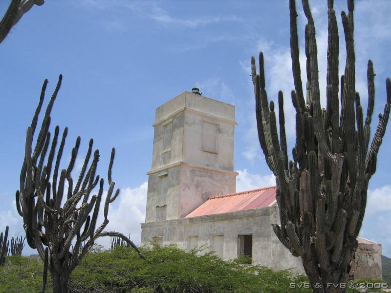 Slagbaai tour 074 