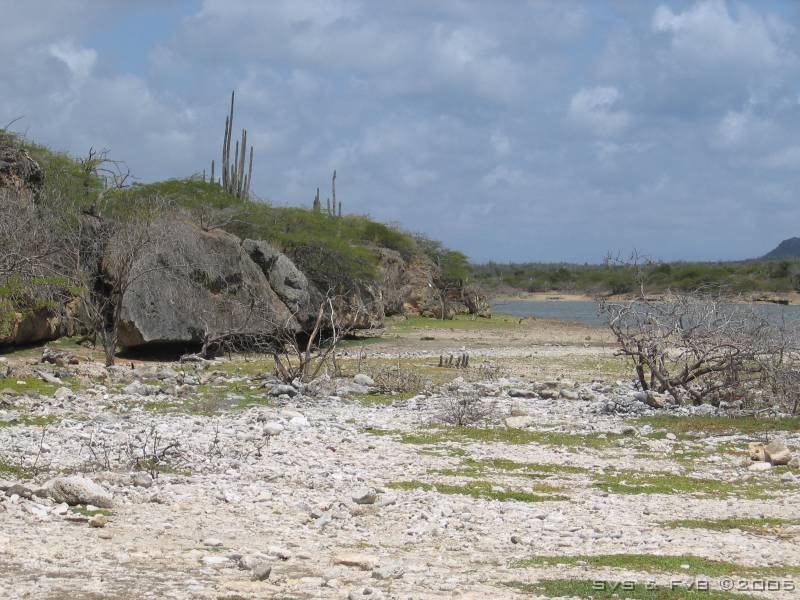 Slagbaai tour 095 