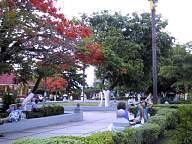 Scan000904a.jpg