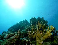 Scan000250.jpg